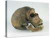 Neanderthal Man Skull-null-Stretched Canvas