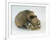 Neanderthal Man Skull-null-Framed Giclee Print