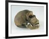 Neanderthal Man Skull-null-Framed Giclee Print