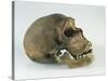 Neanderthal Man Skull-null-Stretched Canvas