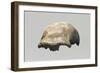 Neanderthal Man Skull-null-Framed Giclee Print