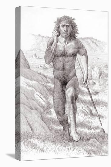 Neanderthal Man-Mauricio Anton-Stretched Canvas