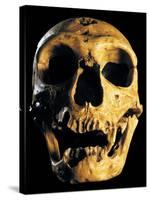 Neanderthal Skull-Javier Trueba-Stretched Canvas