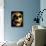 Neanderthal Skull-Javier Trueba-Stretched Canvas displayed on a wall