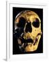 Neanderthal Skull-Javier Trueba-Framed Photographic Print