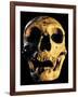 Neanderthal Skull-Javier Trueba-Framed Photographic Print