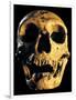 Neanderthal Skull-Javier Trueba-Framed Photographic Print