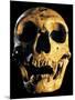 Neanderthal Skull-Javier Trueba-Mounted Photographic Print