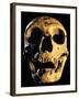 Neanderthal Skull-Javier Trueba-Framed Photographic Print