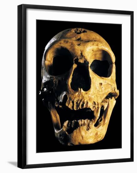 Neanderthal Skull-Javier Trueba-Framed Photographic Print