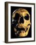 Neanderthal Skull-Javier Trueba-Framed Photographic Print