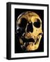 Neanderthal Skull-Javier Trueba-Framed Photographic Print