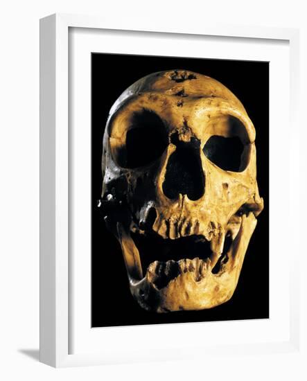 Neanderthal Skull-Javier Trueba-Framed Photographic Print