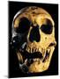 Neanderthal Skull-Javier Trueba-Mounted Photographic Print