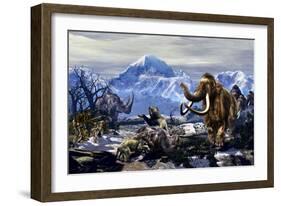 Neanderthals Approach a Group of Machairodontinae Feeding with a Herd of Woolly Mammoths-Stocktrek Images-Framed Art Print