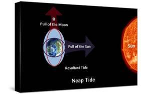 Neap Tide-Spencer Sutton-Stretched Canvas