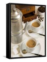 Neapolitan Coffee, Neapolitan Coffee Machine and Coffee Grinder, Naples, Campania, Italy, Europe-null-Framed Stretched Canvas