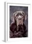 Neapolitan Mastiff Dog Close-Up of Head-null-Framed Photographic Print