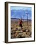 Near Big Pine, California, USA-null-Framed Photographic Print