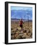 Near Big Pine, California, USA-null-Framed Photographic Print