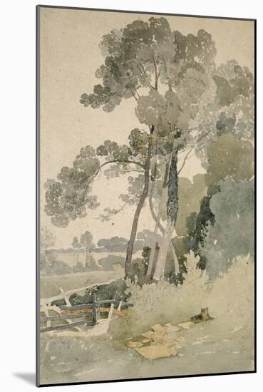 Near Brandsby, Yorkshire, 1865-John Sell Cotman-Mounted Giclee Print