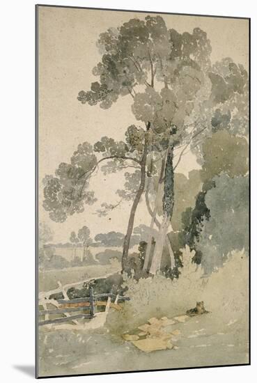 Near Brandsby, Yorkshire, 1865-John Sell Cotman-Mounted Giclee Print