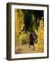 Near Brockway, California, USA-null-Framed Photographic Print