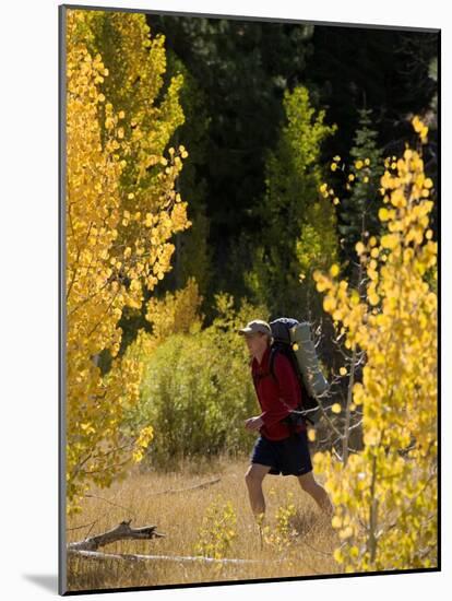 Near Brockway, California, USA-null-Mounted Photographic Print