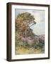 Near Calatafimi-Alberto Pisa-Framed Giclee Print