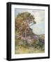 Near Calatafimi-Alberto Pisa-Framed Giclee Print