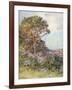 Near Calatafimi-Alberto Pisa-Framed Giclee Print