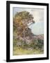 Near Calatafimi-Alberto Pisa-Framed Giclee Print