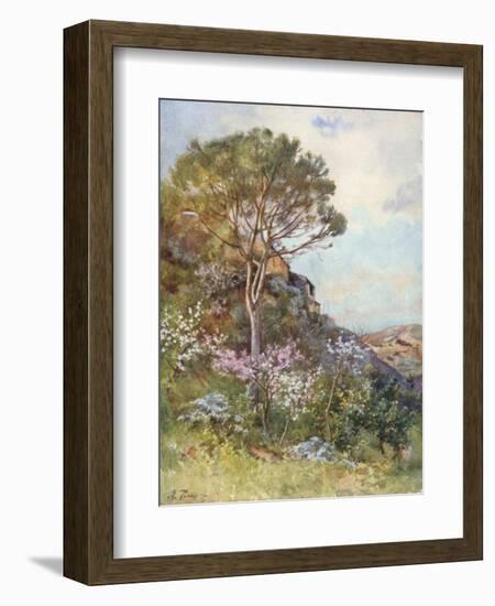 Near Calatafimi-Alberto Pisa-Framed Giclee Print