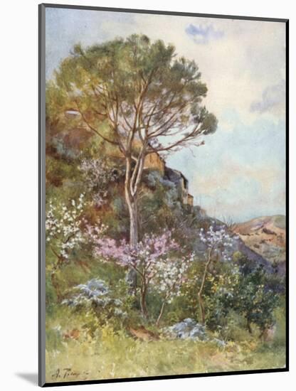 Near Calatafimi-Alberto Pisa-Mounted Giclee Print