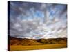 Near Caliente, California: Sunset on the Northern Most Edge of the Tejon Ranch at Sunset.-Ian Shive-Stretched Canvas