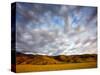 Near Caliente, California: Sunset on the Northern Most Edge of the Tejon Ranch at Sunset.-Ian Shive-Stretched Canvas