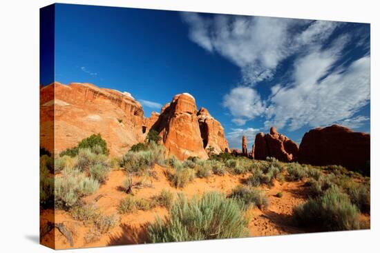 Near Devil's Garden, Arches National Park, Utah-Geraint Tellem-Stretched Canvas