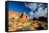 Near Devil's Garden, Arches National Park, Utah-Geraint Tellem-Framed Stretched Canvas