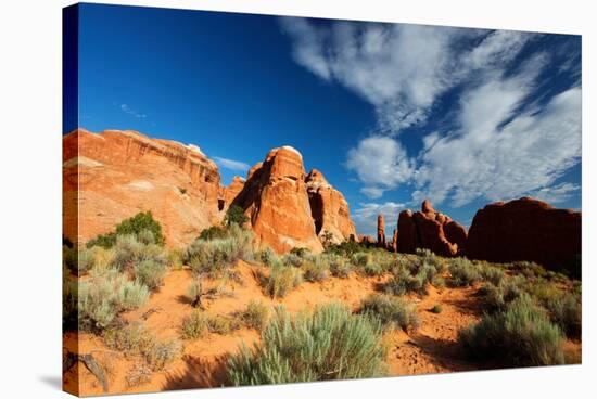 Near Devil's Garden, Arches National Park, Utah-Geraint Tellem-Stretched Canvas