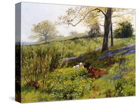 Near Dorking, Surrey, England-Charles Collins II-Stretched Canvas