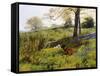 Near Dorking, Surrey, England-Charles Collins II-Framed Stretched Canvas