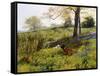 Near Dorking, Surrey, England-Charles Collins II-Framed Stretched Canvas