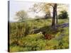 Near Dorking, Surrey, England-Charles Collins II-Stretched Canvas
