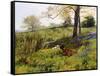 Near Dorking, Surrey, England-Charles Collins II-Framed Stretched Canvas