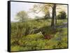 Near Dorking, Surrey-Charles Collins-Framed Stretched Canvas