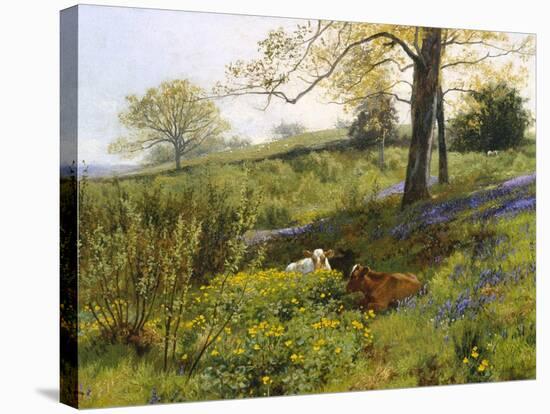 Near Dorking, Surrey-Charles Collins-Stretched Canvas
