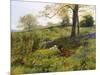 Near Dorking, Surrey-Charles Collins-Mounted Giclee Print