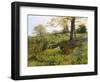 Near Dorking, Surrey-Charles Collins-Framed Giclee Print