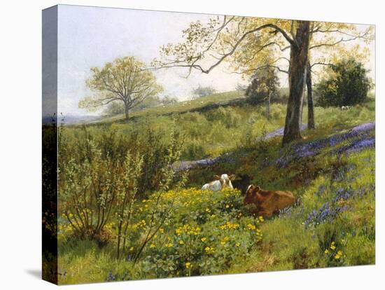 Near Dorking, Surrey-Charles Collins-Stretched Canvas