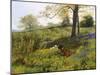 Near Dorking, Surrey-Charles Collins-Mounted Giclee Print
